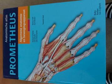 Michael Schunke - Algemene anatomie en bewegingsapparaat beschikbaar voor biedingen