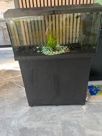 Aquarium + meubel, Dieren en Toebehoren, Vissen | Aquaria en Toebehoren, Ophalen, Leeg aquarium