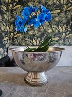 Grote champagnekoeler met echte orchidee, Huis en Inrichting, Woonaccessoires | Overige, Ophalen of Verzenden