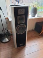 Quadral Amun MK4 High-End Luidsprekers, Audio, Tv en Foto, Luidsprekers, Gebruikt, 120 watt of meer, Front, Rear of Stereo speakers
