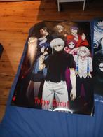 Poster anime, Verzamelen, Posters, A1 t/m A3, Zo goed als nieuw, Rechthoekig Staand, Ophalen