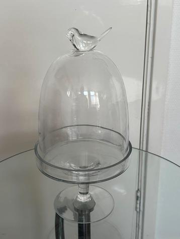 Glazen stolp met vogel boven op. beschikbaar voor biedingen