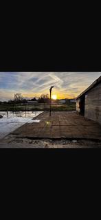 Stalling vrij privé stal diemen, Dieren en Toebehoren, Stalling, 1 paard of pony