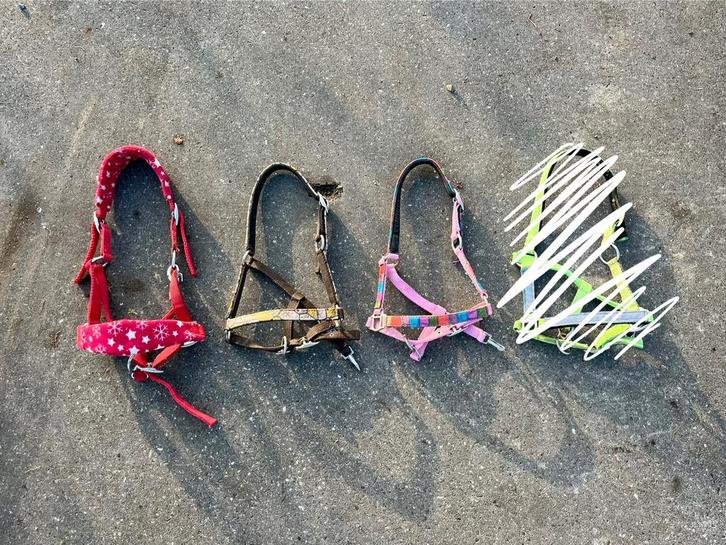 Diverse halsters maat (mini) shet!, Dieren en Toebehoren, Paarden en Pony's | Overige Paardenspullen, Overige soorten, Ophalen of Verzenden