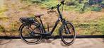 Nieuw! Pegasus Siena E7F Belt Elektrische Fiets 57Cm, Overige merken, Nieuw, Ophalen of Verzenden, 51 tot 55 cm