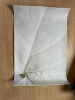 Kookplaat beschermer, Ophalen of Verzenden, Gebruikt