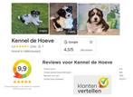 Puppy's van Kennel de Hoeve, Nederland, Rabiës (hondsdolheid), 8 tot 15 weken, Meerdere