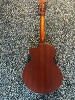 SCHERTLER/PAGELLI SM akoestisch spar/mahonie, Ophalen, Met koffer, Zo goed als nieuw, Western- of Steelstringgitaar