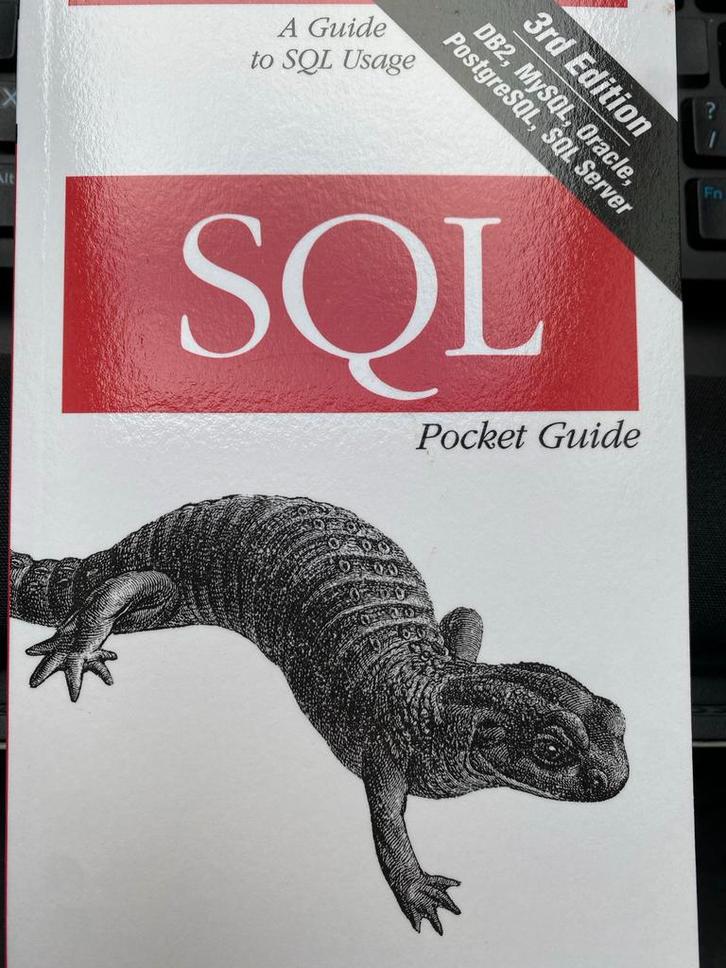 SQL Pocket Guide, Boeken, Informatica en Computer, Zo goed als nieuw, Programmeertaal of Theorie, Ophalen of Verzenden