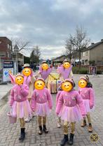 Carnavalskleding Spek en Span loopgroep, Kleding | Dames, Carnavalskleding en Feestkleding, Ophalen, Carnaval, Maat 46/48 (XL) of groter