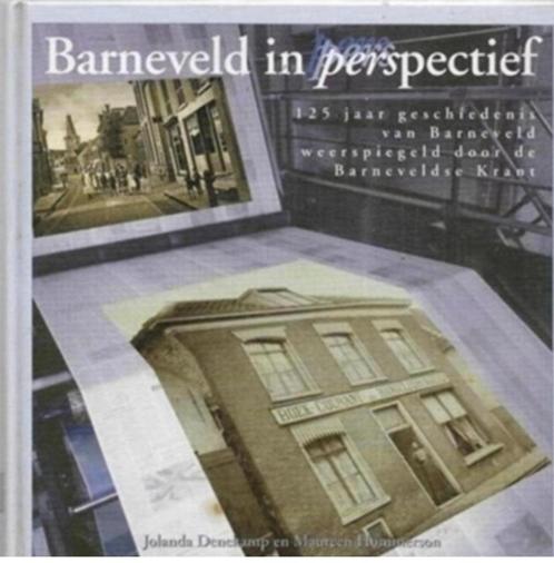Jolanda Denekamp Barneveld in perspectief, Boeken, Geschiedenis | Stad en Regio, Zo goed als nieuw, 20e eeuw of later, Ophalen of Verzenden