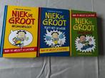 Niek de groot lees boeken 3 stuks, Ophalen of Verzenden, Zo goed als nieuw, 3 tot 4 jaar
