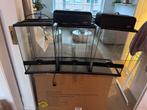 z.g.a.n. 3x Exo Terra 30x30x45 met twee lichtlappen, Ophalen, Zo goed als nieuw, Terrarium of Paludarium