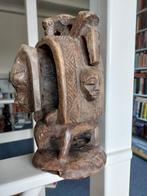 Kastje op rug buffel Kongo, Ophalen