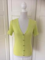 JBC lime geel groen vest vestje, maat XS (valt als M), Kleding | Dames, JBC, Geel, Ophalen of Verzenden, Maat 34 (XS) of kleiner