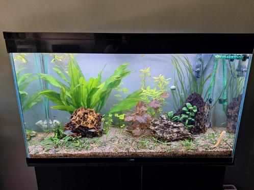 Aquarium incl pomp nieuwe lampen en verwarming, Dieren en Toebehoren, Vissen | Aquaria en Toebehoren, Zo goed als nieuw, Leeg aquarium