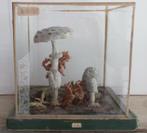 vintage botanisch model paddestoel in glazen plexi box h12, Antiek en Kunst, Curiosa en Brocante, Verzenden