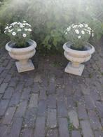 Sierlijke betonnen bloempotten, beschikbaar in 2 maten, Tuin en Terras, Bloempotten, Nieuw, 40 tot 70 cm, 25 tot 40 cm, Beton