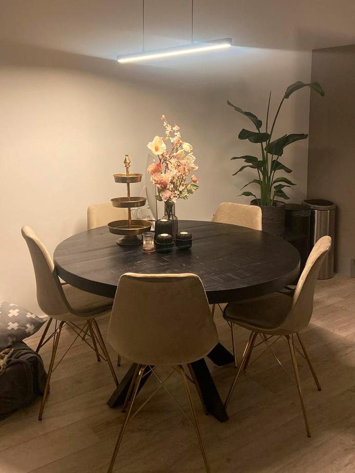 6 Kick eetkamerstoelen Velvet - Champagne met gouden frame, Huis en Inrichting, Tafels | Eettafels, Zo goed als nieuw, 50 tot 100 cm