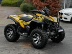 Can-Am Renegade 800 uit 2007 7132km Auto kenteken L7e, 2 cilinders, 800 cc, 12 t/m 35 kW
