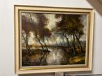 Mooi groot schilderij (emile Lammers), Ophalen of Verzenden