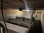 AQC kleppen stienen ventilators, Dieren en Toebehoren, Schapen, Geiten en Varkens, Meerdere dieren, Varken