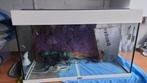 aquarium, Dieren en Toebehoren, Ophalen, Zo goed als nieuw, Leeg aquarium