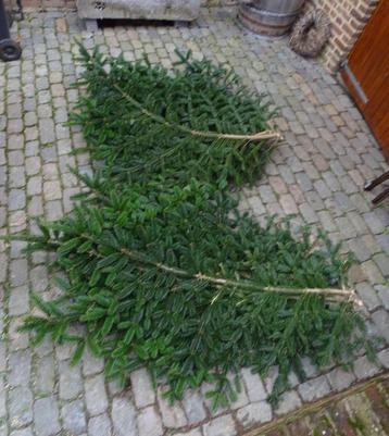 kerst decoratie groen nordmann dennentakken  beschikbaar voor biedingen