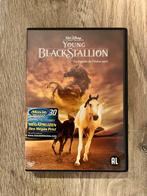 DVD young black stallion, Cd's en Dvd's, Dvd's | Avontuur, Ophalen of Verzenden, Zo goed als nieuw