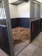 Stal in Sprang-Capelle te huur, 1 paard of pony, Weidegang