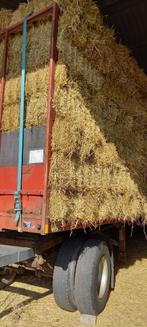 Gerstestro, Dieren en Toebehoren, Dierenvoeding, Ophalen, Vee