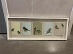 IKEA Schilderij Vogeltjes - Mooie Wanddecoratie, Ophalen, Zo goed als nieuw