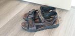 Sandalen, Bruin, Gedragen, Ophalen, Sandalen
