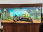 Aquarium Jewel rio 180 incl. Co2 inst & Helialux verlichting, Dieren en Toebehoren, Ophalen, Zo goed als nieuw, Gevuld zoetwateraquarium