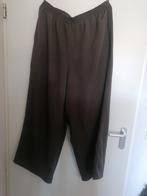 Hebbeding mooie broek/ elastische taille/ maat 3 = 46-48, Kleding | Dames, Grote Maten, Bruin, Verzenden, Hebbeding, Nieuw