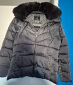 Winterjas rino en pelle, Kleding | Dames, Jassen | Winter, Paars, Maat 42/44 (L), Ophalen of Verzenden, Gedragen
