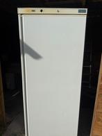 vriezer staan  ,Horeca  , diepvriezer, Witgoed en Apparatuur, Vriezers en Diepvrieskisten, 160 cm of meer, Zo goed als nieuw, Ophalen