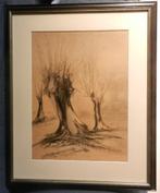 Krijttekening Drie Knotwilgen Janus van Zeegen (1881-1966), Ophalen of Verzenden