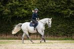 Mega brave en rustige ruin !!️, B, Gechipt, Ruin, 170 tot 175 cm