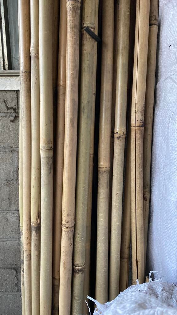 Bamboestokken 1,80, 2,10,2,10 , 2,70 en 3m, Tuin en Terras, Palen, Balken en Planken, Ophalen, Zo goed als nieuw, 250 cm of meer