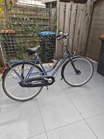 Pointer Dames fiets framemaat 50 (opknapper), Gebruikt, Versnellingen, 50 tot 53 cm, Ophalen