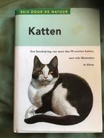 Katten, Ophalen of Verzenden, Zo goed als nieuw, Katten