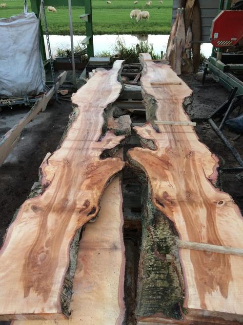 Mooie droge vensterbank en wandplanken strak of grillig, Huis en Inrichting, Woonaccessoires | Wandplanken en Boekenplanken, Nieuw