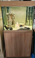 Complete juwel lido 120 met helialux verlichting, Dieren en Toebehoren, Ophalen, Zo goed als nieuw, Leeg aquarium