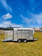 Ifor Williams Veetrailer aanhanger, Ophalen of Verzenden, Zo goed als nieuw