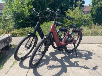 Set Gazelle Avignon C8 HMB L53 2495 km en L49 1670 km 6-2023