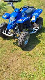 Yamaha blaster 200 cc, Ophalen, Gereviseerd