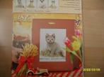 NIEUW, Borduurpakket, British Shorthair. Verkoop ook DMC, Ophalen of Verzenden, Nieuw, Handborduren, Borduurpakket