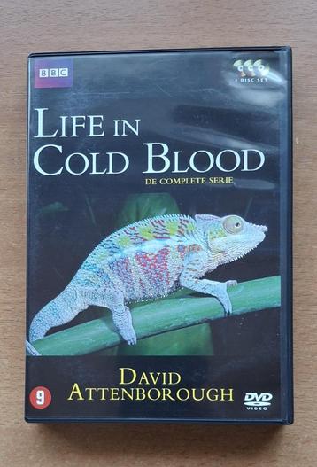 Life In Cold Blood beschikbaar voor biedingen