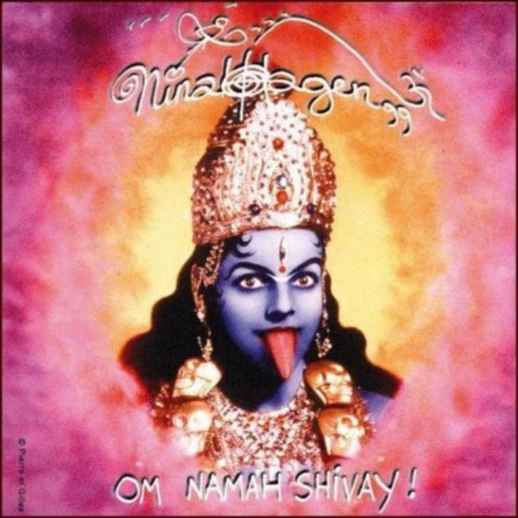 2CD: Nina Hagen - Om Namah Shivay! + 1008 Indische Nächte, Cd's en Dvd's, Cd's | Rock, Zo goed als nieuw, Poprock, Ophalen of Verzenden